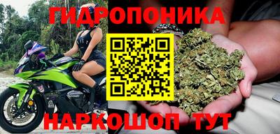 каннабис Кингисепп