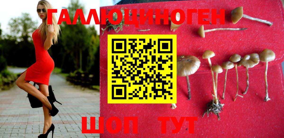 Галлюциногенные грибы Magic Shrooms Кропоткин