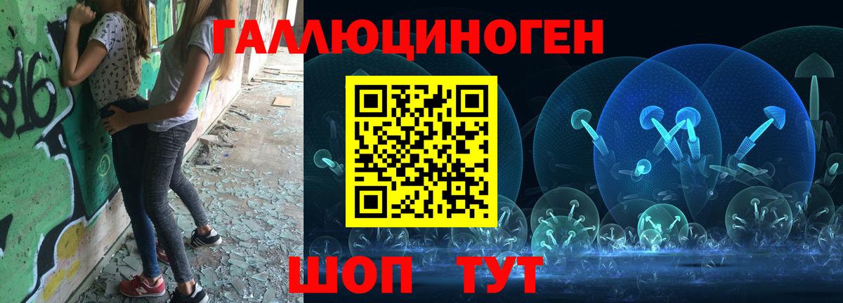 купить наркотик  Галлюциногенные грибы GOLDEN TEACHER  Псилоцибиновые грибы Psilocybine cubensis  Вход с VPN  Кропоткин 